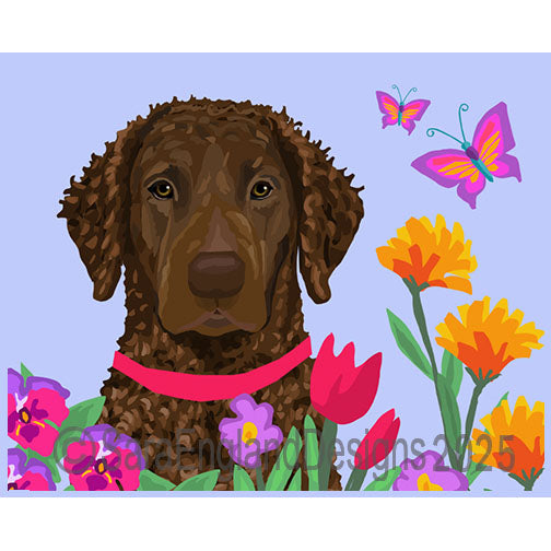 Curly Coated Retriever - Garden-Liver Head On