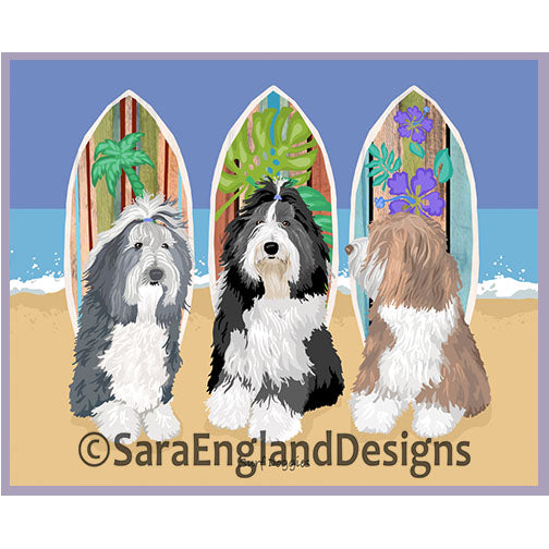 Bearded Collie - Surf Doggies