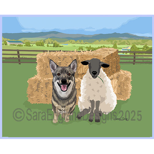 Swedish Vallhund - Farm Dog