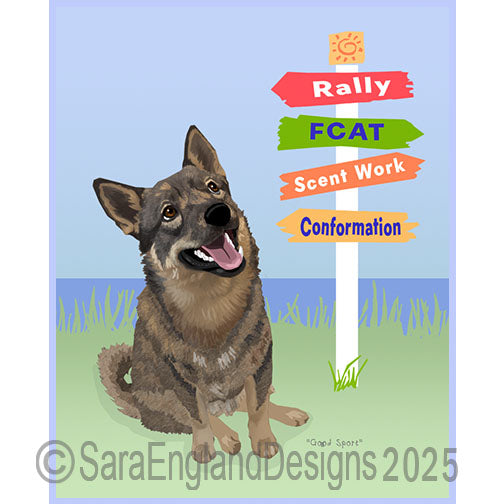 Swedish Vallhund - Good Sport