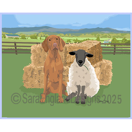 Vizsla - Farm Dog