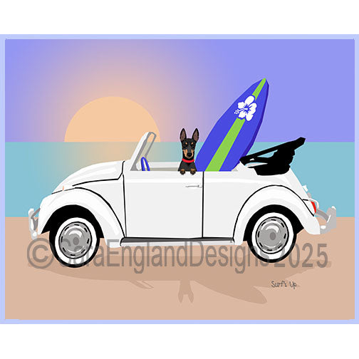 Manchester Terrier - Surf's Up