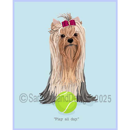 Yorkshire Terrier (Yorkie) - Play All Day-Show