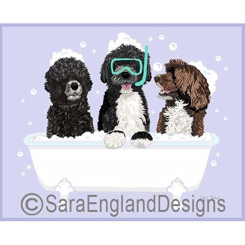 Portuguese Water Dog - Spa Day