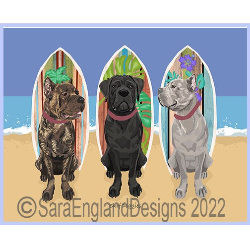Cane Corso - Surf Doggies
