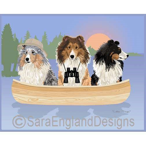 Shetland Sheepdog (Sheltie) - Lake Dogs
