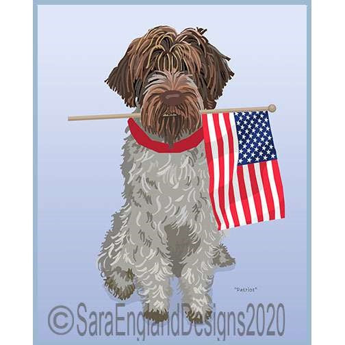 Wirehaired Pointing Griffon - Patriot