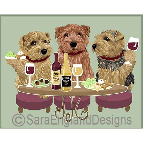 Norfolk Terrier - Dogs Wineing