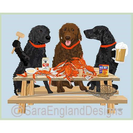 Curly Coated Retriever - Crab Feast