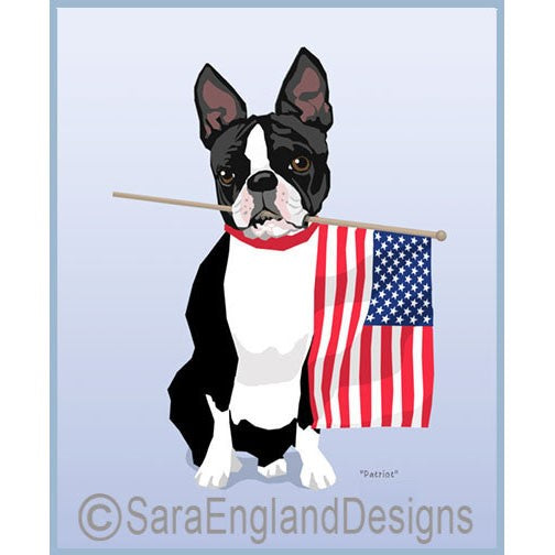 Boston Terrier - Patriot
