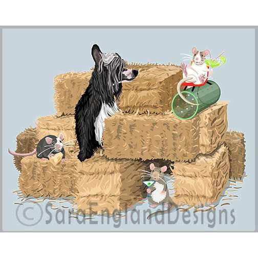 Chinese Crested - Barn Hunt - Two Versions - Black