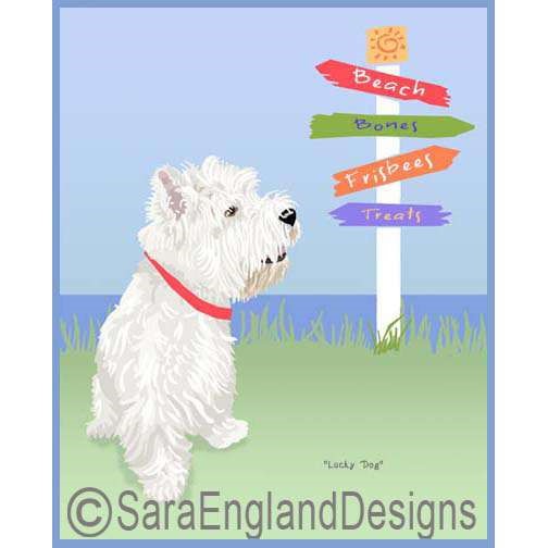 West Highland Terrier (Westie) - Lucky Dog