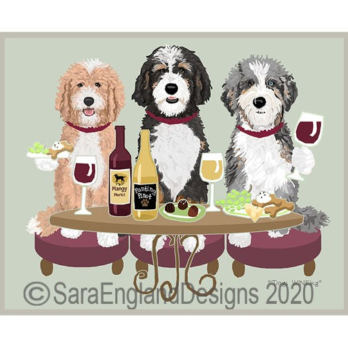 Doodle - Bernedoodle - Dogs Wineing
