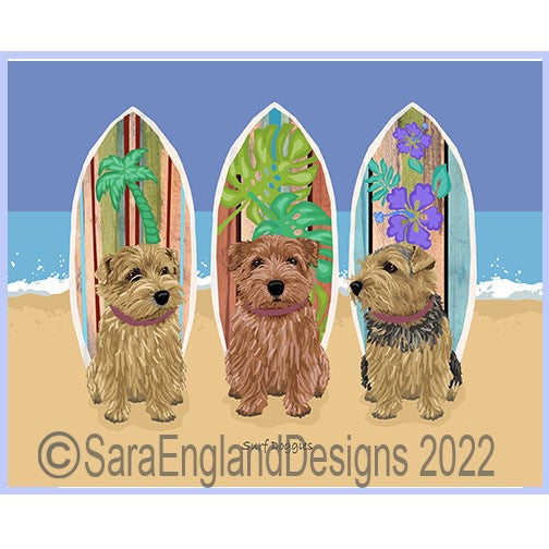 Norfolk Terrier - Surf Doggies