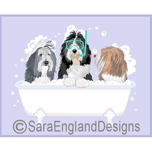 Bearded Collie - Spa Day