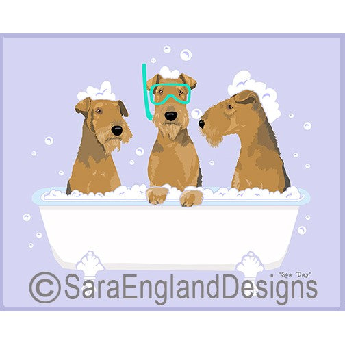 Airedale Terrier - Spa Day