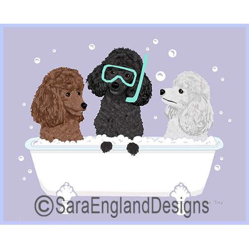 Poodle-Toy - Spa Day