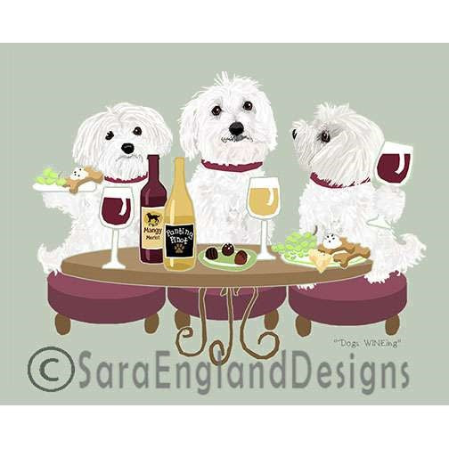 Maltese - Dogs Wineing