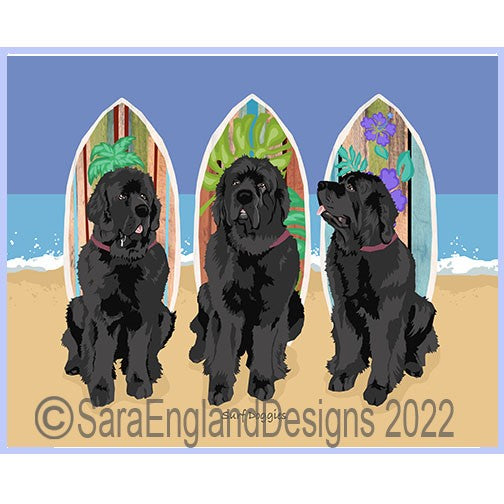 Newfoundland - Surf Doggies