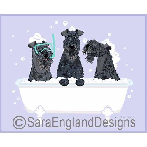 Kerry Blue Terrier - Spa Day