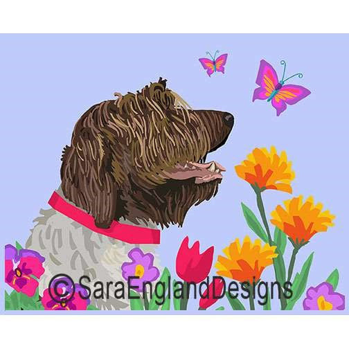 Wirehaired Pointing Griffon - Garden