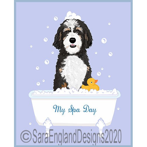 Doodle - Bernedoodle - My Spa Day