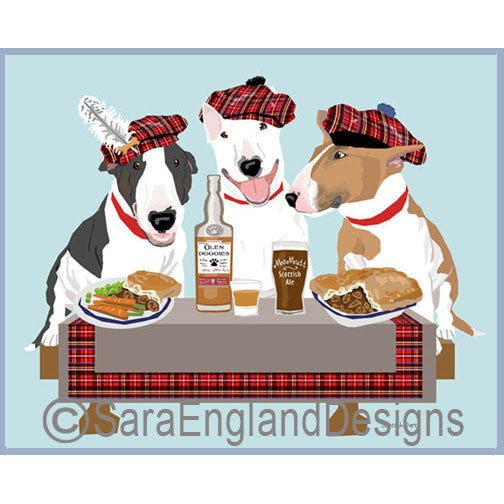Bull Terrier - Scottish Party