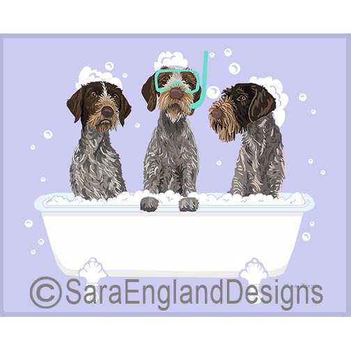 German Wirehaired Pointer - Spa Day