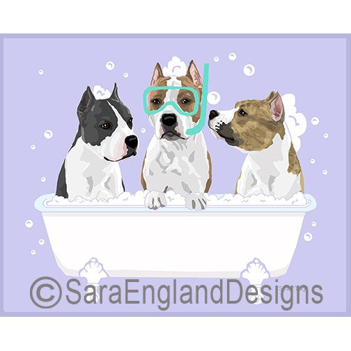 American Staffordshire Terrier - Spa Day