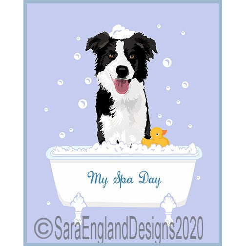 Border Collie - My Spa Day
