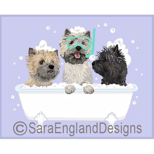 Cairn Terrier - Spa Day