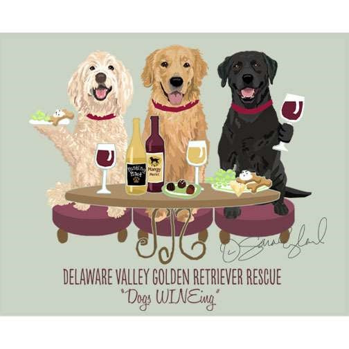 Golden Retriever - Dvgrr Dogs Wineing