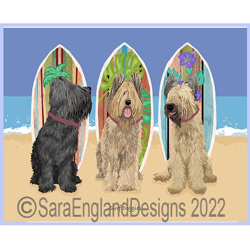 Briard - Surf Doggies