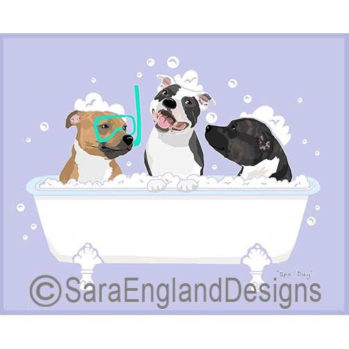 Staffordshire Bull Terrier - Spa Day