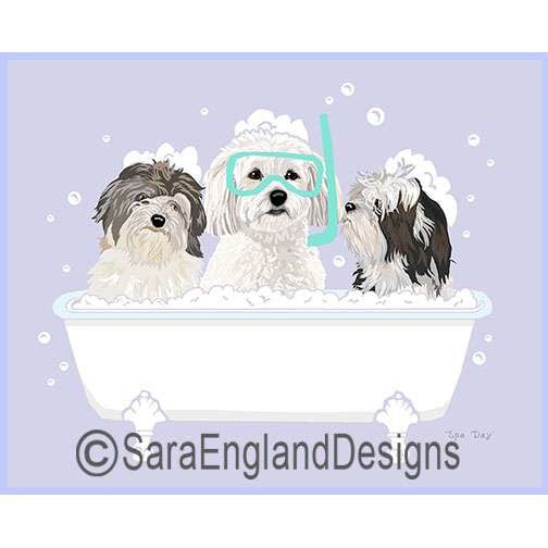 Havanese - Spa Day - Two Versions - Two