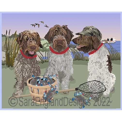 Wirehaired Pointing Griffon - Shore Dogs