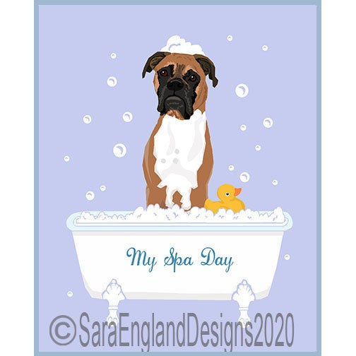 Boxer - My Spa Day